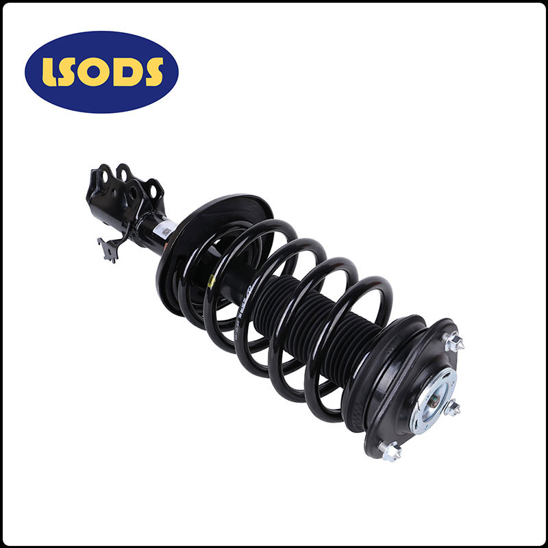 Absorbente de choque de automóviles Haev-2905100