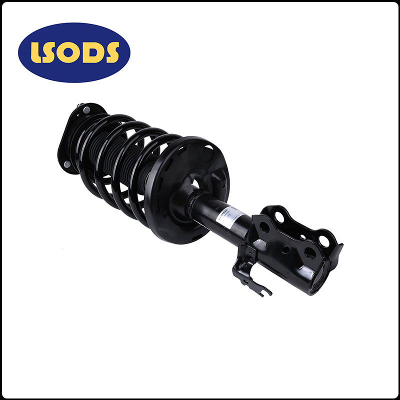 Amortocratario del automóvil Haev-2915200